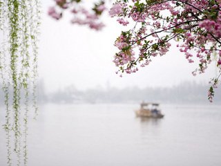 死在江南烟雨中