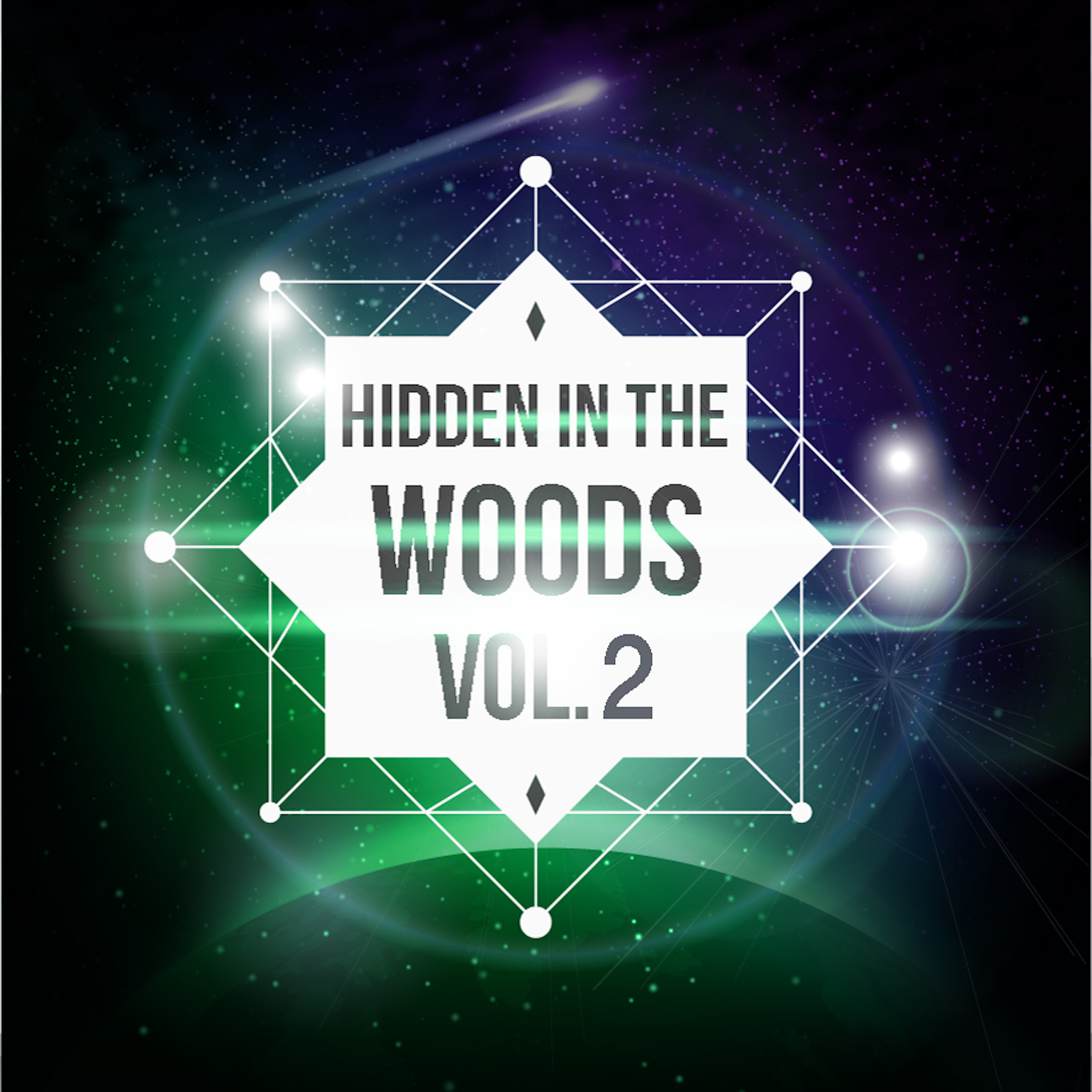 Hidden In The Woods Vol.2