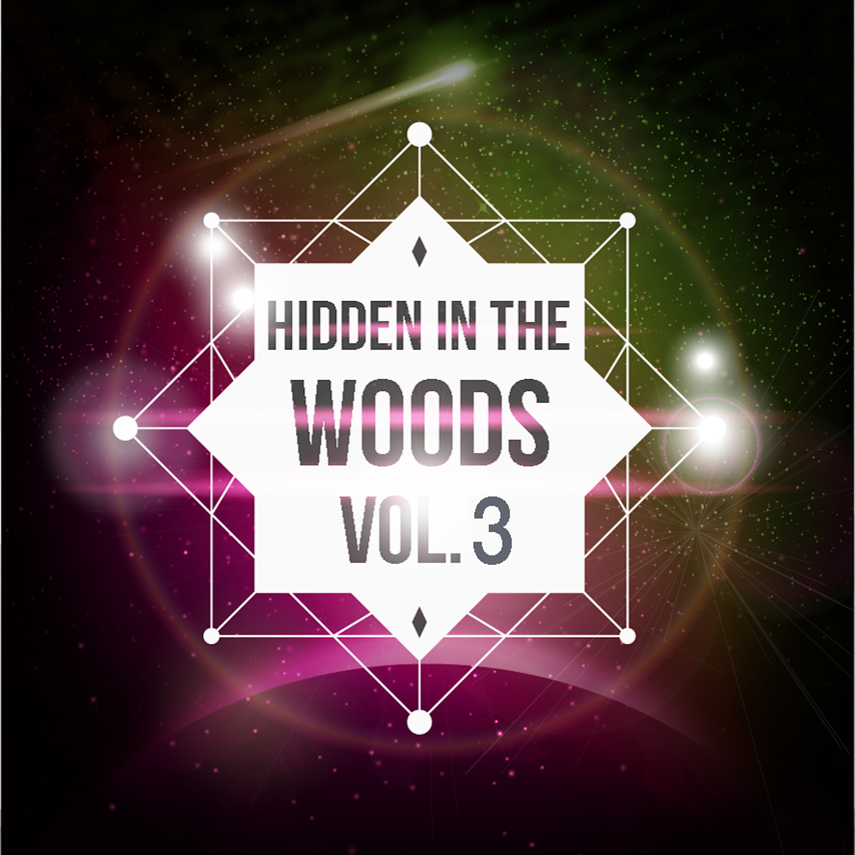 Hidden In The Woods Vol.3