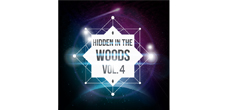 音乐人落落推出新专辑《Hidden In The Woods Vol.4》 全球同步上线