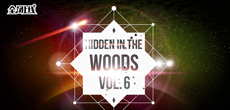 音乐人落落推出新专辑《Hidden In The Woods Vol.6》 全球同步上线