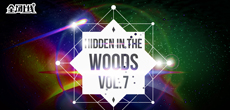 音乐人落落推出新专辑《Hidden In The Woods Vol.7》 全球同步上线