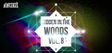 音乐人落落推出新专辑《Hidden In The Woods Vol.8》 全球同步上线