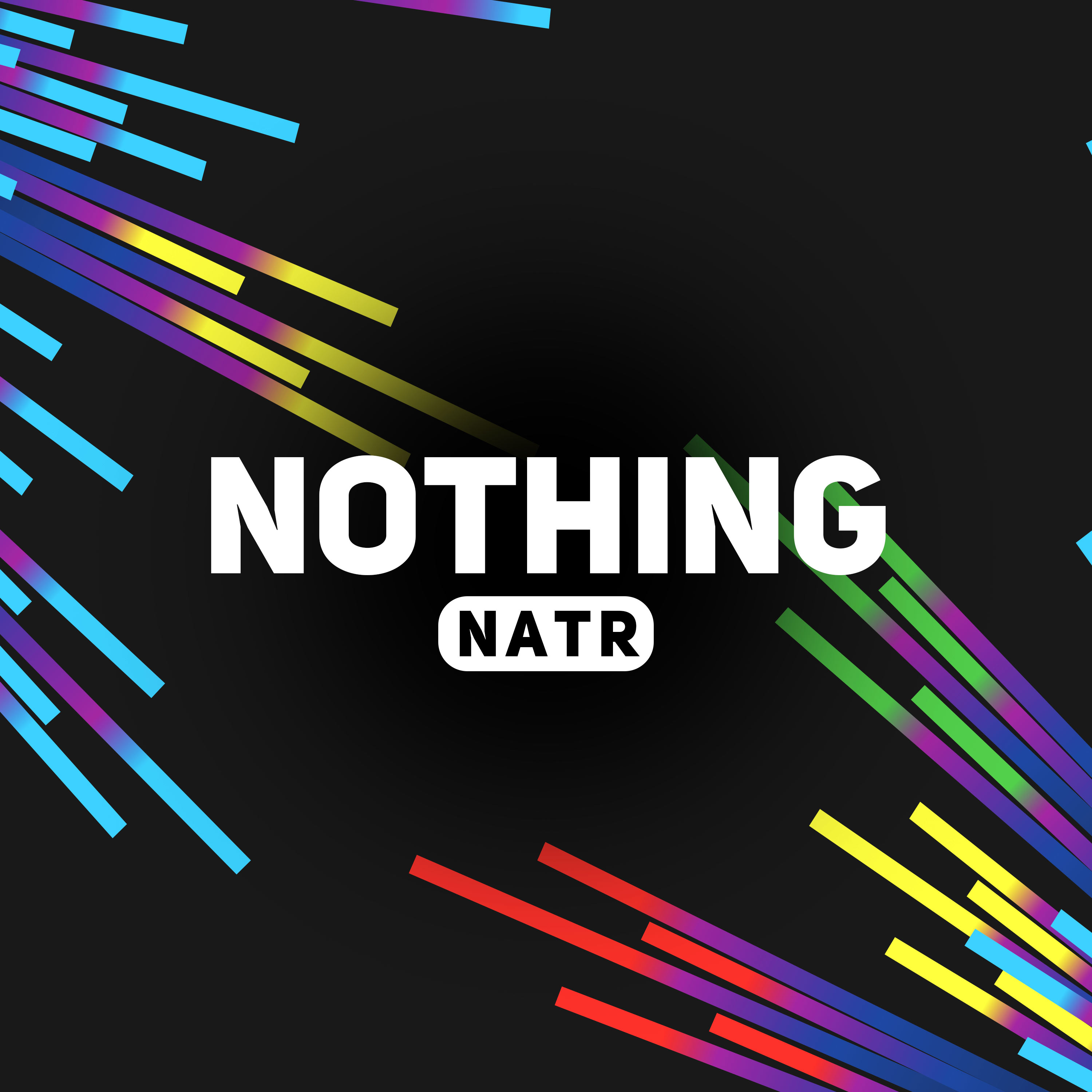 Nothing（无）